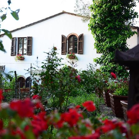 Prato A Baldo Villa Massa Marittima Bagian luar foto