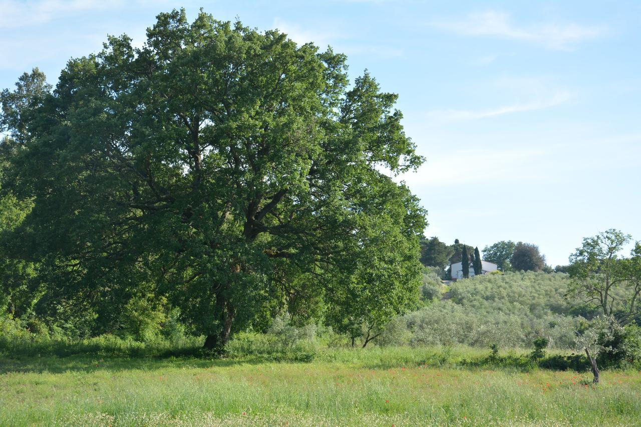 Prato A Baldo Villa Massa Marittima Bagian luar foto