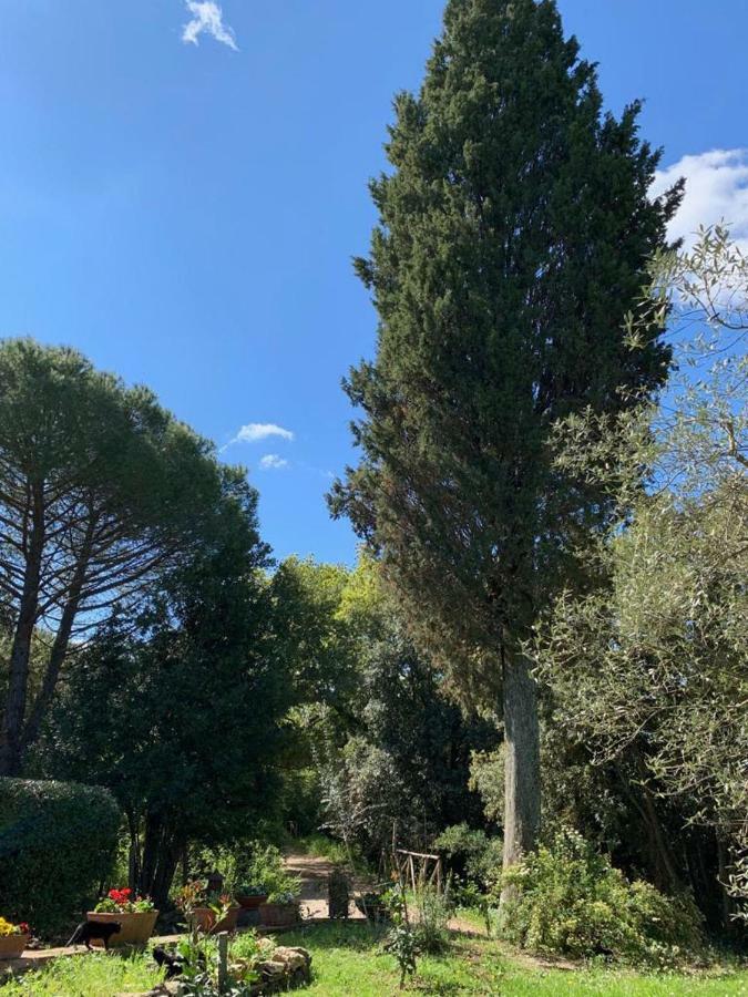 Prato A Baldo Villa Massa Marittima Bagian luar foto